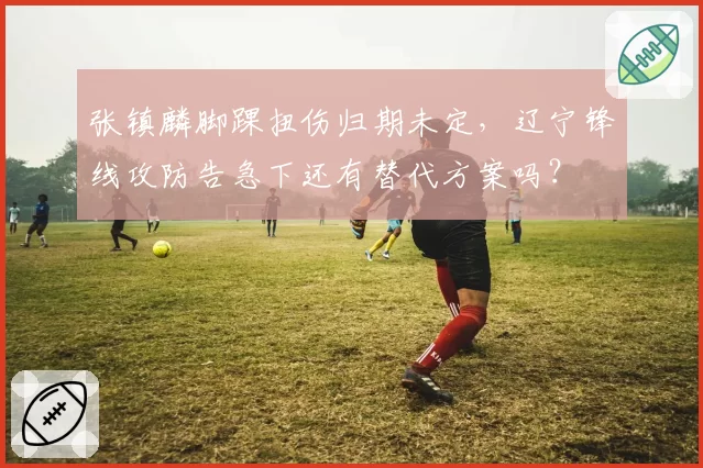 张镇麟脚踝扭伤归期未定，辽宁锋线攻防告急下还有替代方案吗？