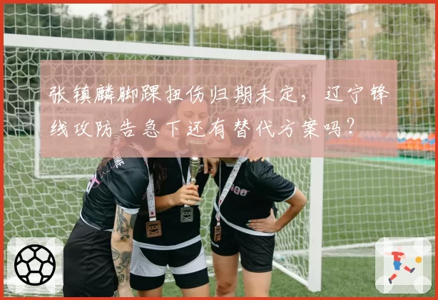 张镇麟脚踝扭伤归期未定，辽宁锋线攻防告急下还有替代方案吗？